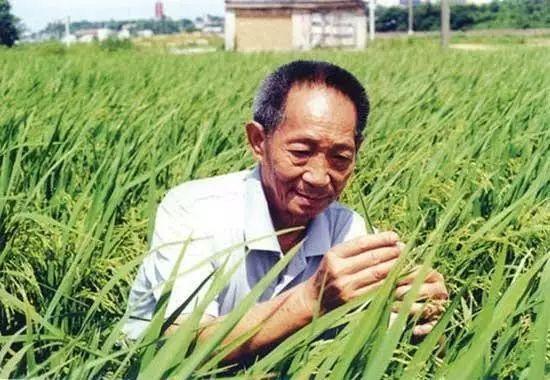 一日三餐，米香彌漫，飽食者當(dāng)憶袁公！