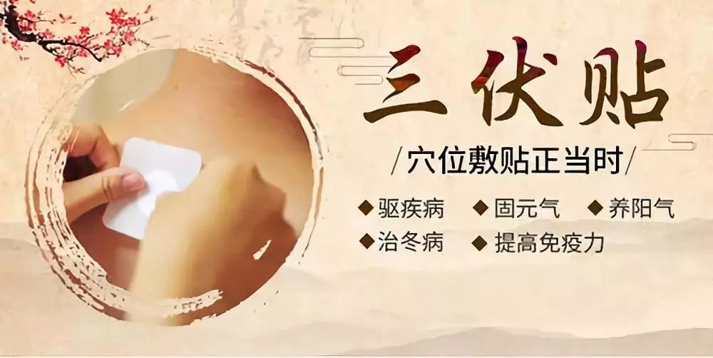 關(guān)于三伏貼，你了解多少呢？