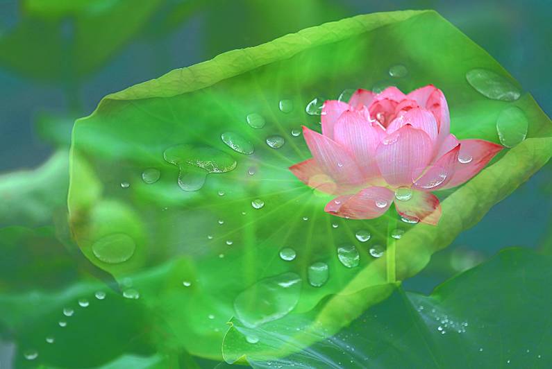 醫(yī)療器械網(wǎng)：失眠該怎么辦？