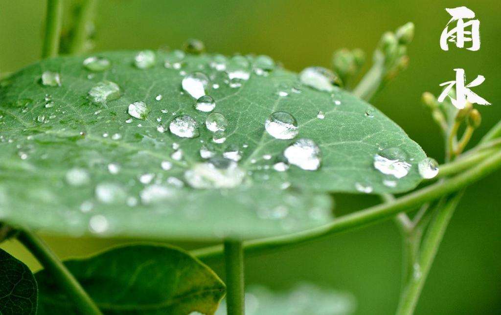 雨水！